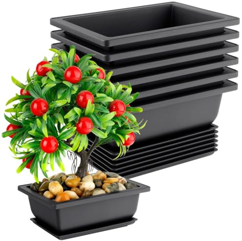 6er Set Blumentöpfe aus Kunststoff rechteckig mit Tropfschale - für Kakteen, Blumen und mehr