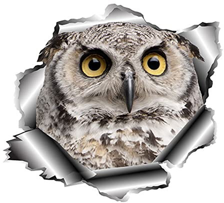 iSpchen Autoaufkleber 3D Eulen lustige aufkleber wasserdicht reflektierende Aufkleber Selbstklebende Vinyl Sticker Autofenster Stoßfänger Karosserie Aufkleber Auto Styling Dekoratio Aufkleber,13x12cm