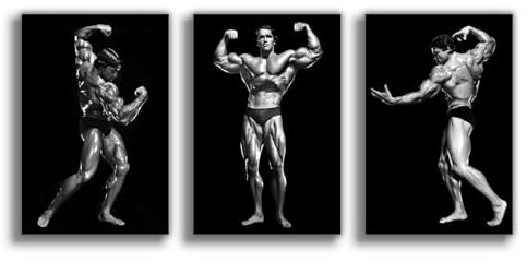 NebulaNova Set of 3 Arnold Schwarzenegger Poster Leinwand Poster Schlafzimmer Dekoration Landschaft Büro Raumdekoration Geschenk Unframe-style 08x12inch(20x30cm)