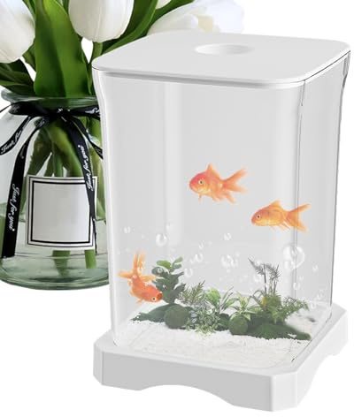Betta Aquarium Tank – Hohe Transparenz 4 K Fischschale mit LED-Licht, kreatives Büro, klein, für Innendekoration, umweltfreundlich, Panorama | Starter-Set kompakt Office, Küche, Wohnung