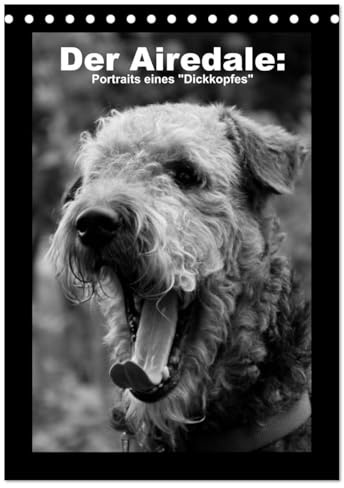 Der Airedale: Portraits eines Dickkopfes (Tischkalender 2026 DIN A5 hoch), CALVENDO Monatskalender: Der liebenswerte Airedale hat viele ... möchte keinen anderen mehr! (CALVENDO Tiere)