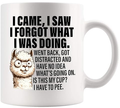 Panvola I Came I Saw I Forgot What I Was Doing Old People Elderly Gifts Women Mom Men Grandpa Grandma 70th 80th 90th Birthday Senior Citizen Gifts People with Dementia Ceramic Mug White 11 oz