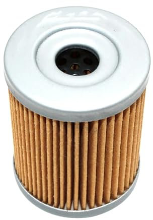 Filtro Olio per Yamaha CP250 CP 250 MORPHOUS 2006-2008 YP250 YP 250 Majesty 2004 2005 2006 2007 YP400 YP 400 Majesty 2004-2014 (1 Pezzo)