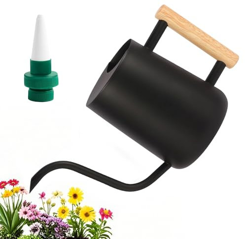 Arrosoir Plante Interieur, 1L Arrosoir en Acier Inoxydable, Arrosoir Jardin avec Long Bec et Poignée en Bois, Petit Arrosoir pour Plantes d'intérieur Extérieur