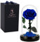 Forever Preserved Real Rose Christmas and Valentines Day Gifts for Mom, Women Gifts Blue Eternal Flower in Glass Gifts for Valentines Day Mothers Day Christmas Anniversary Birthday (blue)