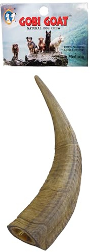 QT Dog Medium Gobi Goat Horn - Long-Lasting 100% All-Natural Dog Chew, Ethically Sources Protein-Packed & Low Fat Dental Chews, Ideal for All Breeds & Aggressive Chewers
