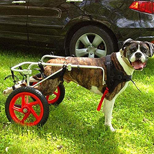 SSB Dog Fahrradanhänger weiche Bequeme Hinterbeine Rehabilitation Leichtgewichtler 2 Räder Mobilität Einstellbare Hund Rollstuhl for Haustier Hund Katze Kaninchen (Size : XL)