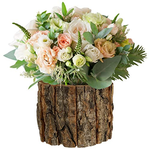 Yardwe Rinde Brunnen Blumenerde Für Freilandpflanzen Bonsai-töpfe Rinde Pflanzer Blumentopf Aus Holz Blumentöpfe Drinnen Pflanzgefäß Für Baumrinde Protokoll Anlage Bonsaischale Hölzern