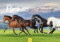 Edition Seidel Premium Kalender Pferde 2025 Format DIN A3 Wandkalender Pferdekalender Tiere Fohlen Stute Hengst Pony