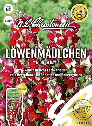 Löwenmäulchen Night & Day Samen, Saatgut