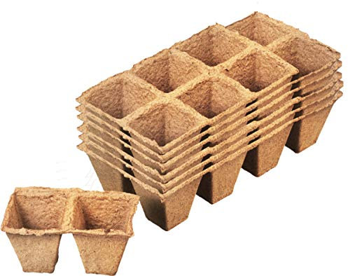 Meister Anzuchttöpfe 6 x 6 cm-Praktisches Set mit 48 Stück-100% torffrei aus PEFC-zertifizierter Zellulose-Biologisch abbaubar/Pflanztopf/Saattopf/Pflanzenanzucht / 9968260, Natur, 3,5 x 3,5 cm
