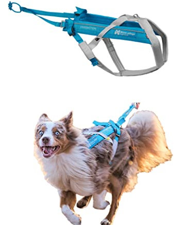 Non-stop dogwear FREEMOTION HARNESS 5.0 |111| blue/grey | Hunde-Geschirr für alle Sportarten, Größe:4