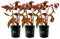 AquaOne Aquarium Pflanze 3 Stück Alternanthera Lilacina 'Purple' 'Lila' I Wasserpflanze Aquariumpflanze Stängelpflanze voll durchwurzelt Aquascaping Dekoration