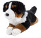 Teddys Rothenburg Kuscheltier Berner Sennen 30 cm liegend braun/schwarz/weiß Plüschhund Plüschbernersennen