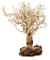 Bonsai Treibholz Aquarium Baum 17,8 cm Höhe, natürlich, handgefertigt, Dekoration für Aquarien, hilft das Gleichgewicht des Wassers pH-Werts, stabilisiert Umgebungen, BBS