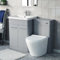 Nes Home Afern Matte Grey 600mm Freestanding Basin Vanity WC Unit & Toilet