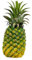 FLCPJGV Authentische Ananas Skulptur, Kunstobst Deko für Zuhause, Elegantes Ornament, 10cmx24cm