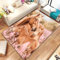 Qiqumax Pferd Teppich Wohnzimmer 160x230cm Schlafzimmer Pferd Tier Kinderteppich Kinderzimmer, Cartoon Einhorn Teppich Kinder Spielteppich Wohnzimmerteppich (1,80x160cm)
