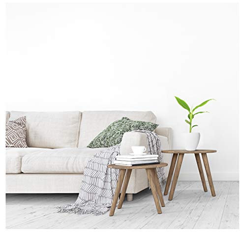 Echte winterharte Musa Basjoo Bananenpflanze - circa 30 bis 35cm