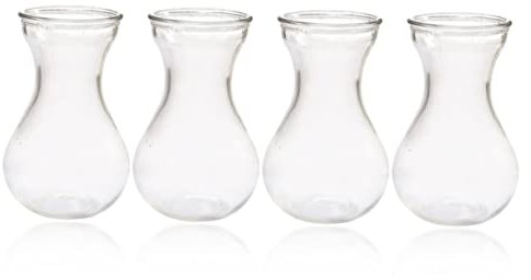 TOPBATHY Lot De 4 Pots De Fleurs en Verre Jacinthe pour Décoration Intérieure Et Composition