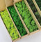 prefleur 5 Farben Mix Pack konserviert Rentiermoos Natur Grün DIY Kit Gartenarbeit Kunst Wand Dekor Florist Dekor (0,45 kg) (Grün-01 Grün-02 Grün-03 Grün-06 Grün-12)