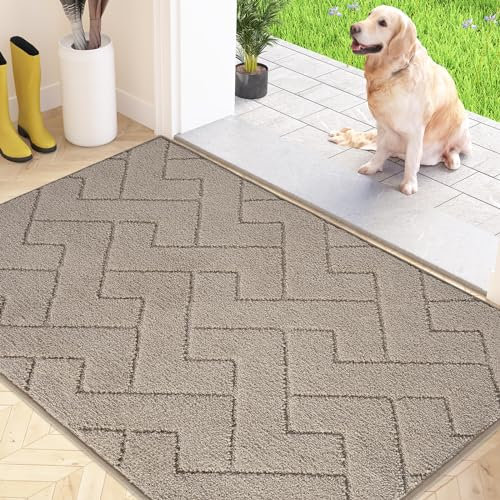 FCSDETAIL Schmutzfangmatte Innen 80 x 120 cm, rutschfeste Fußmatte, waschbar Sauberlaufmatte, absorbierend Türmatte, Fussmatte Teppich für Hund, Eingang, Haustür & Flur