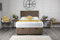 Comfy Deluxe LTD Plush Velvet Ottoman Storage Divan Bed Side Lift Open with Vertical Panel Apollo Headboard (4FT6 Double (140cm X 192cm), Mink)