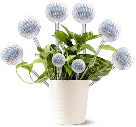 CHSEEO 6 Stück Bewässerungskugeln für Pflanzen, Wasserspender Bewässerung Zimmerpflanzen, Pflanzenbewässerung Glas, Selbstbewässerung von Zimmer Balkon Topfpflanzen Blumentopf Indoor (Wasserkugeln)