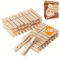Akitaink Mollette di legno per bucato 100 Pezzi, lunghezza 10 cm con molla in metallo antiruggine (100)