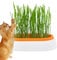 Cat Grass Hydroponic Planter,Cat Grass Pot - Cat Planter for Indoor or Outdoor Cats, Dogs, and Other Pets, Cat Grass Box for Indoor Outdoor Plants, Pet Accessory