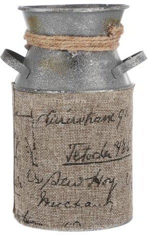 BESPORTBLE 1pièce Seau Fer Forgé Vintage avec Poignée Conteneur à Plantes Élégant pour Décoration Intérieure Et Arrangement Floral