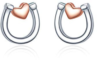 YFN Hufeisen ohrringe Sterling Silber Pferd Thema Stud Glückliche Mode Schmuck Geschenke für Frauen Mädchen