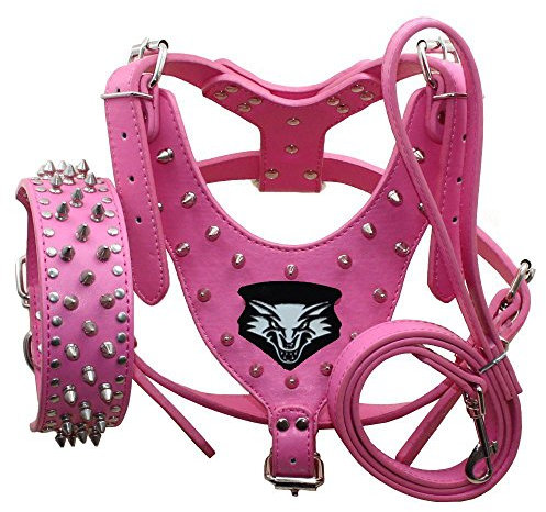 haoyueer Ensemble de 3 pièces avec harnais, collier et laisse en cuir à pointes cloutées pour chien de taille moyenne et grande pour Pit Bull, Mastiff, Boxer, Bull Terrier (XL, rose vif)