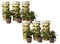 Plant in a Box - Solanum Muricatum 'Pepino gold' - Melonenbirne - 6er Set - Topf 9cm - Höhe 25-40cm