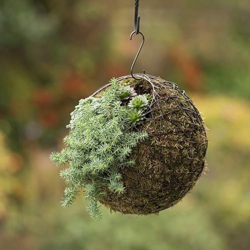 Crocus Collection 21cm Hanging Wire Ball Living Sculpture Garden Ornament Rustic Outdoor Chic Decoration