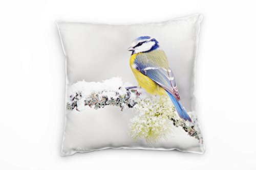 Paul Sinus Art Tiere, Vogel, Blaumeise, Winter, grau, blau, gelb Deko Kissen 40x40cm für Couch Sofa Lounge Zierkissen - Dekoration zum Wohlfühlen