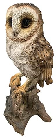 24 cm große Schleiereule, Kunstharzfigur, handbemaltes Eulenornament mit aufwendigen Details – geeignet für den Innen- und Außenbereich – wetterbeständiger Gartenvogel - Deko Eule Gross