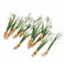 Loberon Deko-Blume 12er Set Willmare, Naturgetreue Schneeglöckchen-Nachbildung, für frühlingshafte Dekoideen, Kunstblume, Kunststoff, Eisendraht, weiß/grün