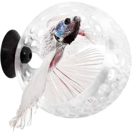 byMazy Betta Cave Lounge | Fish Tank Hideout & Hammock Ornament, Swim-Through for Betta, Small Fish, Shrimp – Aquarium Decoration with Plant Holder (Clear White, Small)