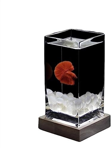 Aquarium Complet Réservoir de poissons carré hautement translucide, réservoir de poissons de combat avec Base en bois, réservoir de poissons tropicaux en verre épais, petit aquarium de bureau Bac à Po