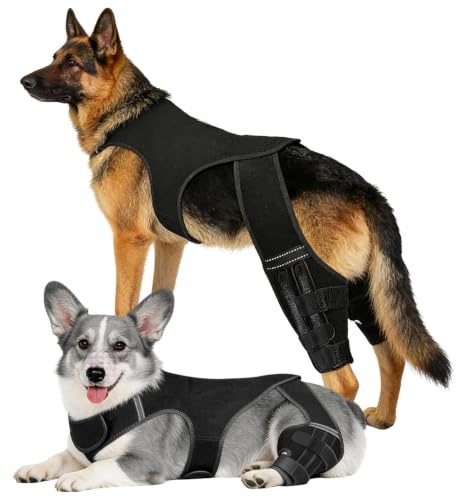 Derwrtup Rodillera para Perros – Vendaje Articular Ajustable | con 4 estabilizadores de Metal para el Apoyo de Las Patas traseras, para Paseos, Senderismo, Entrenamiento, Actividades al Aire Libre