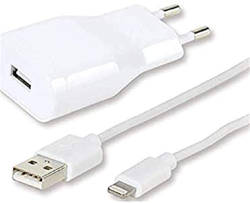Vivanco Ladegerät für Apple, iPhone, iPad 2.4 A