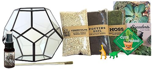 Cute Farms Glas-Terrarium-Set | Fügen Sie einfach Ihre eigenen Pflanzen hinzu (geometrisches Glas)