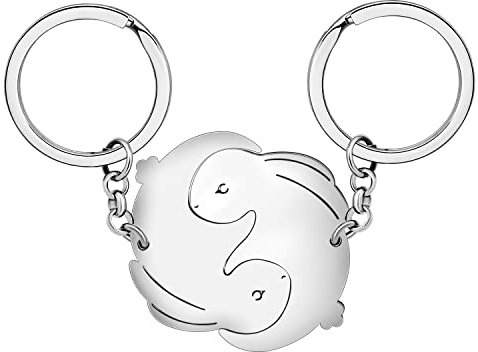 BAMAY Acier Inoxydable Porte clés Couple Lapin Porte-clés Lièvre Lapins Cadeaux de Pâques Saint Valentin pour Femmes Filles Décorations (Plaqué Argent + Plaqué Argent A)