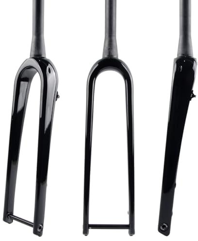 HIMALO 700C Gravel Forcella Carbonio Forcella Rigida per Bici da Strada 1-1/8 Forcella Anteriore Diritta/conica Freno A Disco Perno Passante 12 * 100mm (Color : Glossy Black, Size : Tapered)