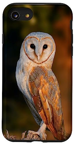 iPhone SE (2020) / 7 / 8 Barn Owl Case