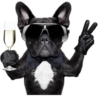 Süße französische Bulldogge trinkt Champagner Poster Leinwand Malerei for Wohnzimmer Home Decor Luxus Tier Wandbild Cuadros(50x70cm Unframed)