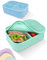 Lunchbox - Silikon Brotdose für Erwachsene - Bruchfeste und Auslaufsichere Bento Box, BPA frei, Spülmaschinenfest und Mikrowellengeeignet - Für die Arbeit, Büro & Unterwegs | 800ml (Mint)