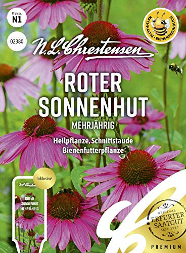 Roter Sonnenhut Mehrjährig N.L.Chrestensen Samen 2380