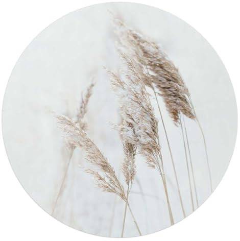 REINDERS Glasbild, Pampagras, Wohnzimmer, Poster, Wanddeko, Glasbilder, Glas, Weiß, Ø 70cm
